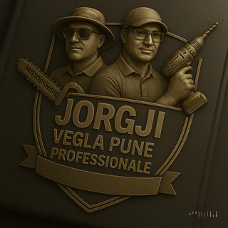 Jorgji Vegla pune profesionale