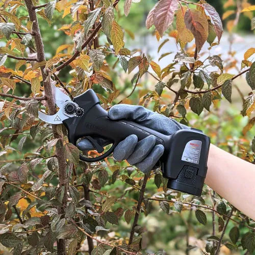 Gërshërë Krasitje NORTEX