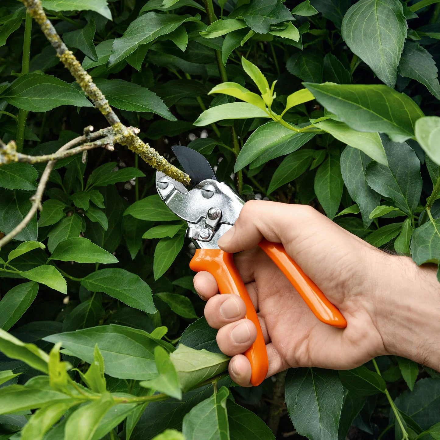 Stihl Gërshërë Prerëse Anvil PG 25