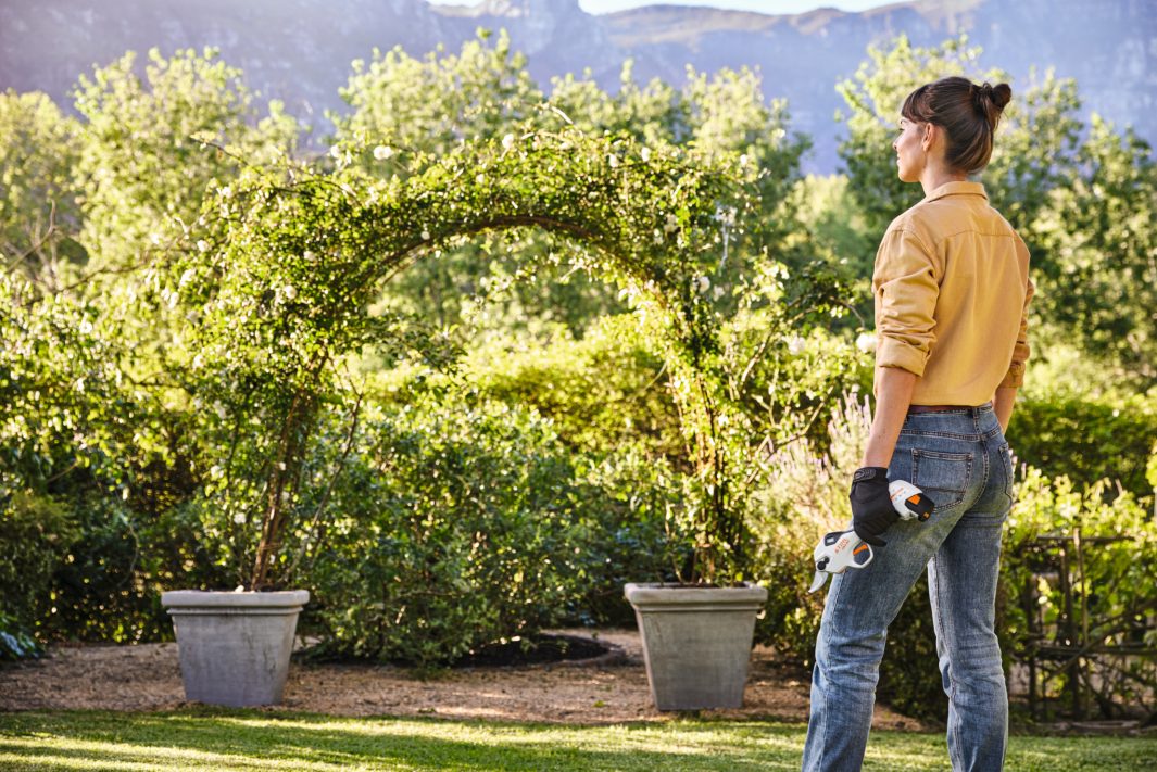 Gërshërë me bateri ASA 20