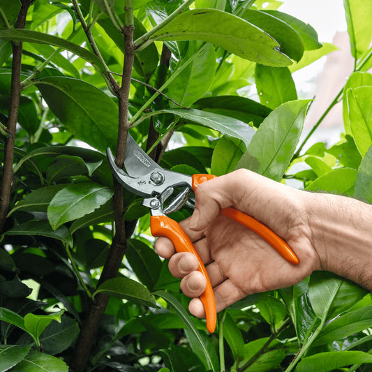 Stihl Gërshërë prerëse PG 20